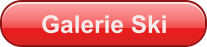Galerie Ski