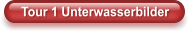 Tour 1 Unterwasserbilder