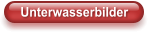 Unterwasserbilder